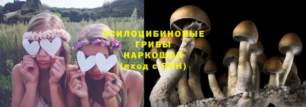 твердый Козловка