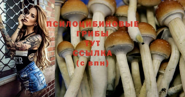 амфетамин Козельск