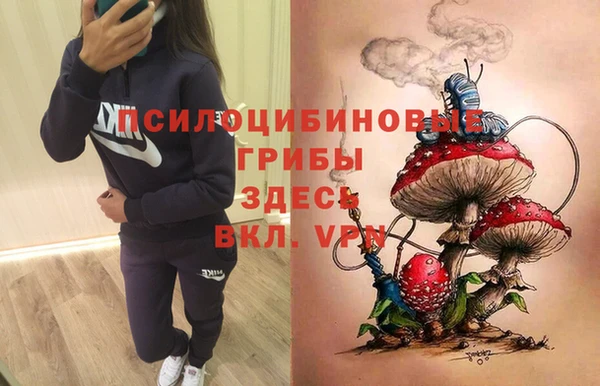 твердый Козловка