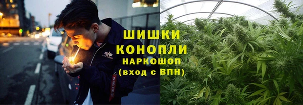 твердый Козловка