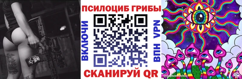 Купить где  Бирск  Галлюциногенные грибы Cubensis 